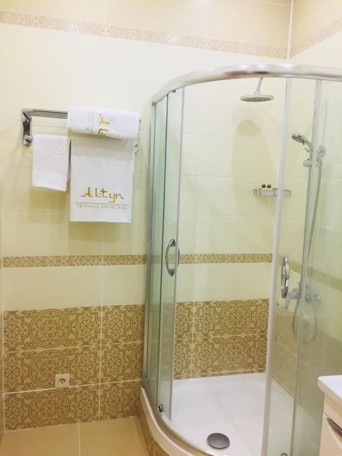 Отель Altyn Hotel Нур-Султан-14